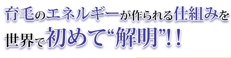 ���сE��у~�X�g�EM��1���T�C�g